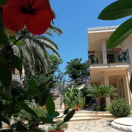 Cerasella Trappeto (Sicily)